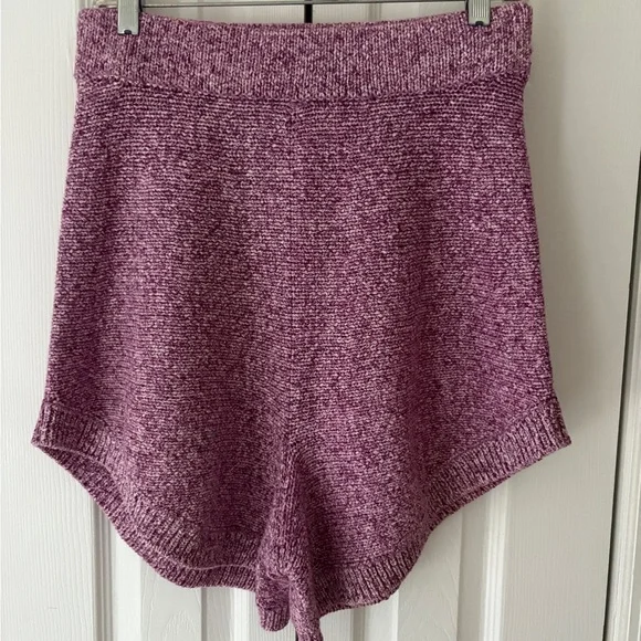 NWOT Free People Lavender High Waist Shorts